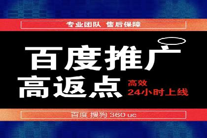 SEM公司成功案例分享：搜索引擎优化的力量